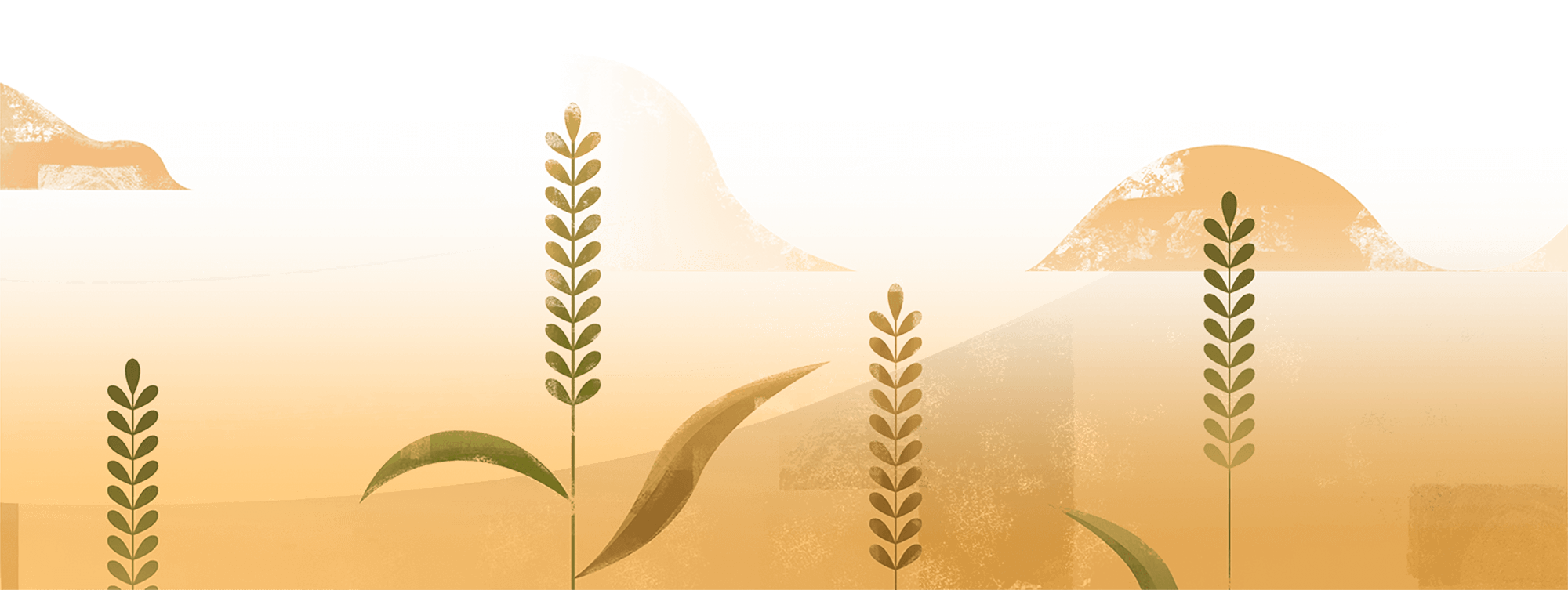 field-5